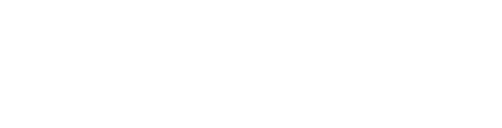 合作伙伴4